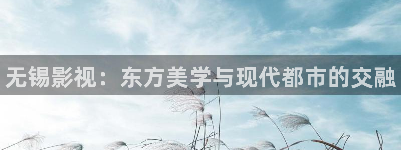 天龙影视官网：无锡影视：东方美学与现代都市的交融