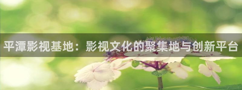 天龙影院手机版：平潭影视基地：影视文化的聚集地与创新平台