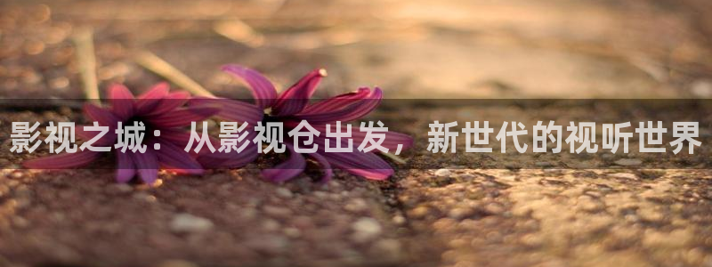 天龙影视官网：影视之城：从影视仓出发，新世代的视听世界